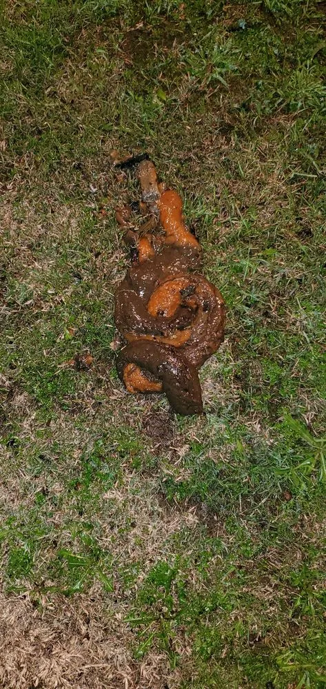 Slide of Drain Master Plumbing Service