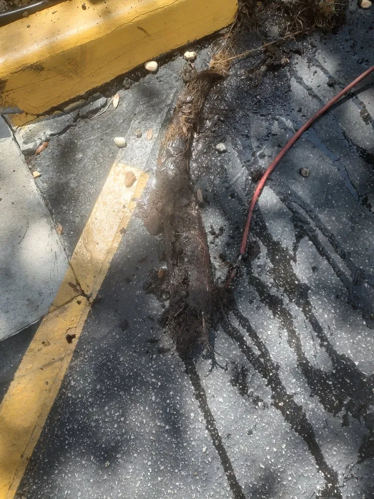 Slide of Drain Masters