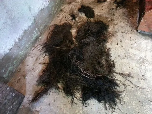 Slide of Drain Masters