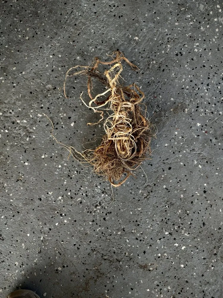 Slide of Drain Masters