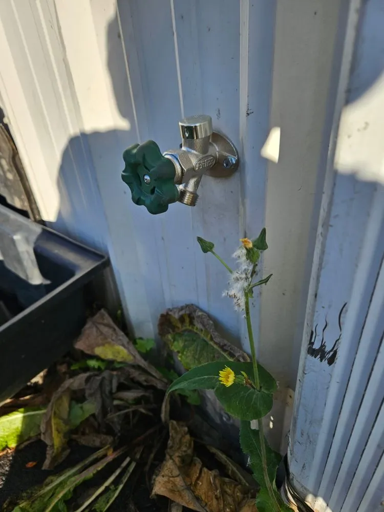 Slide of Drain Masters