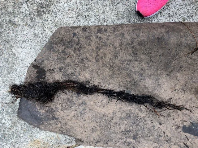 Slide of Drain Masters