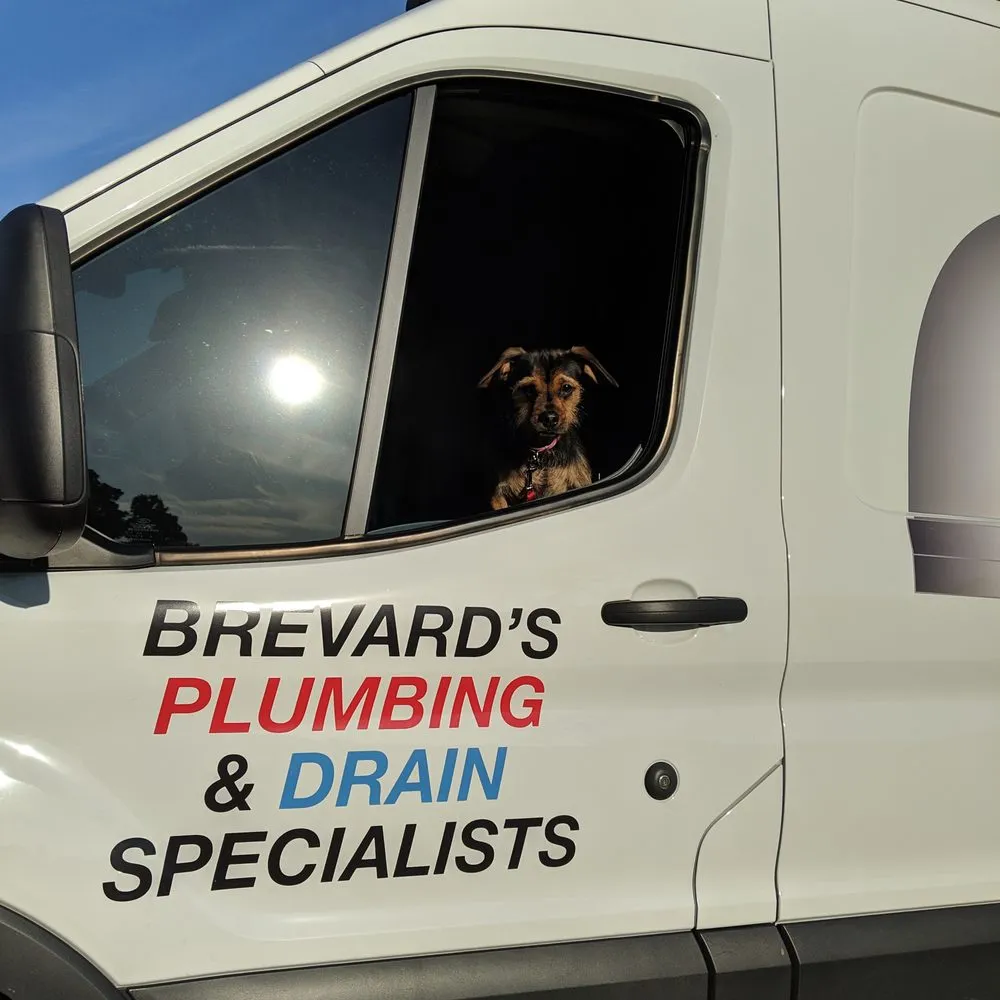 Slide of Drain Mechanics