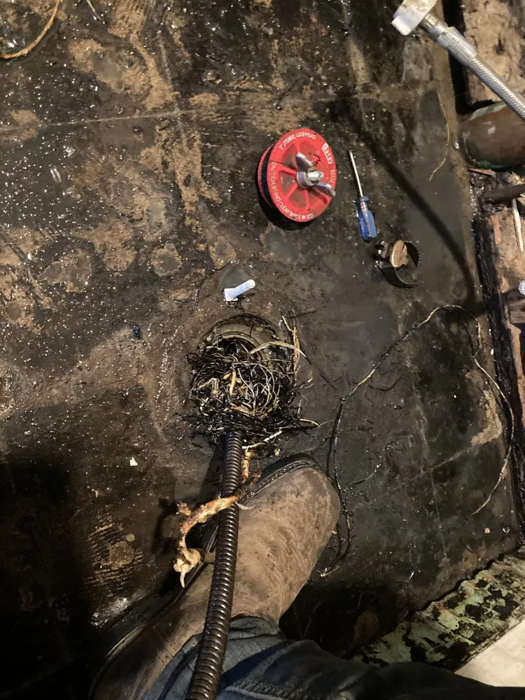 Slide of Drain Monkeys