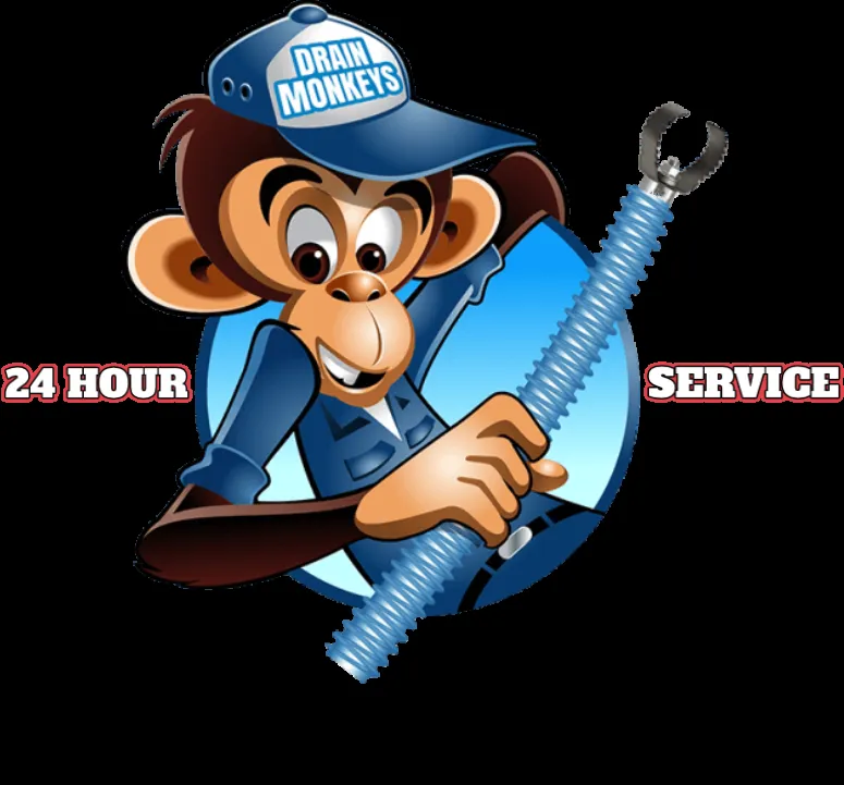 Slide of Drain Monkeys