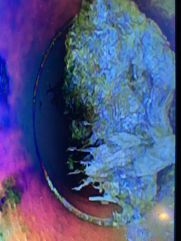 Slide of Drain Monkeys