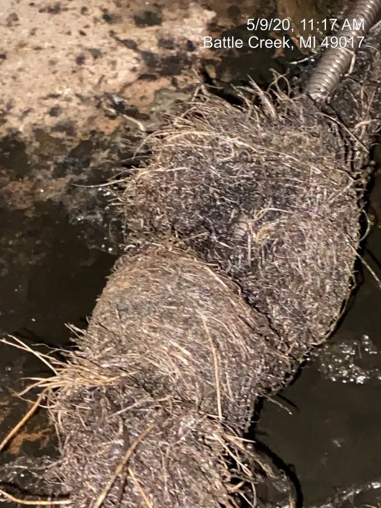 Slide of Drain Monkeys