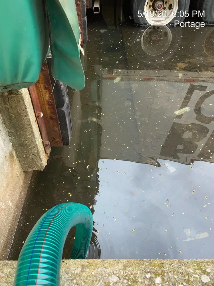 Slide of Drain Monkeys