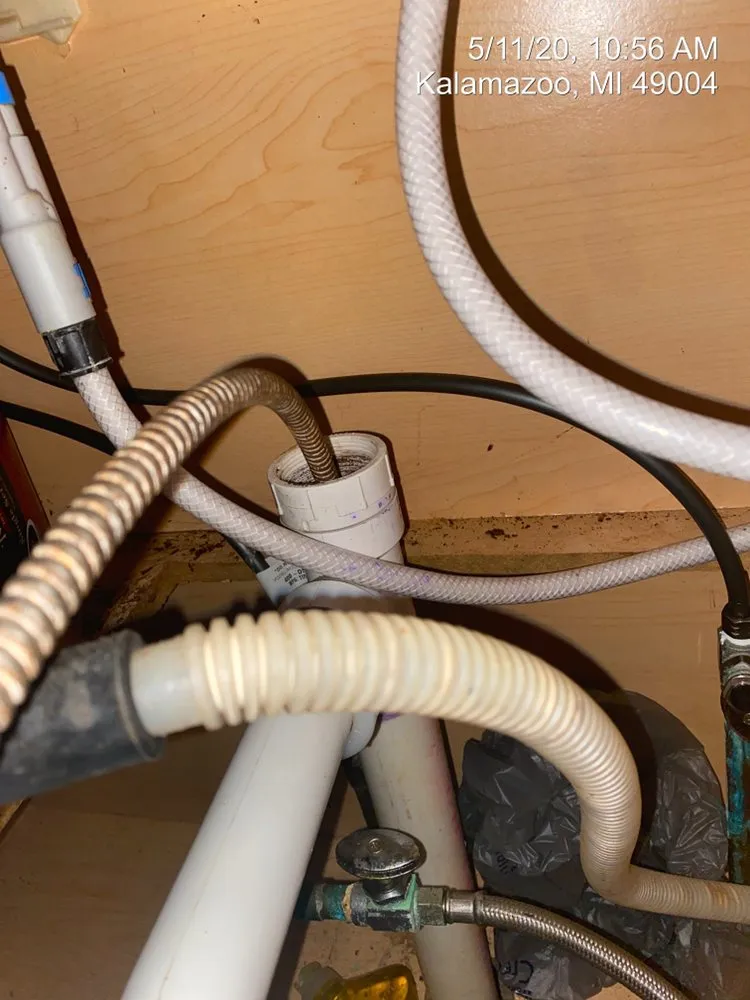 Slide of Drain Monkeys