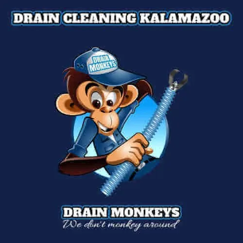 Slide of Drain Monkeys