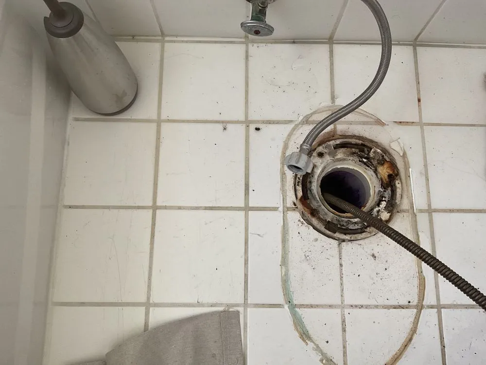 Slide of Drain Nerds