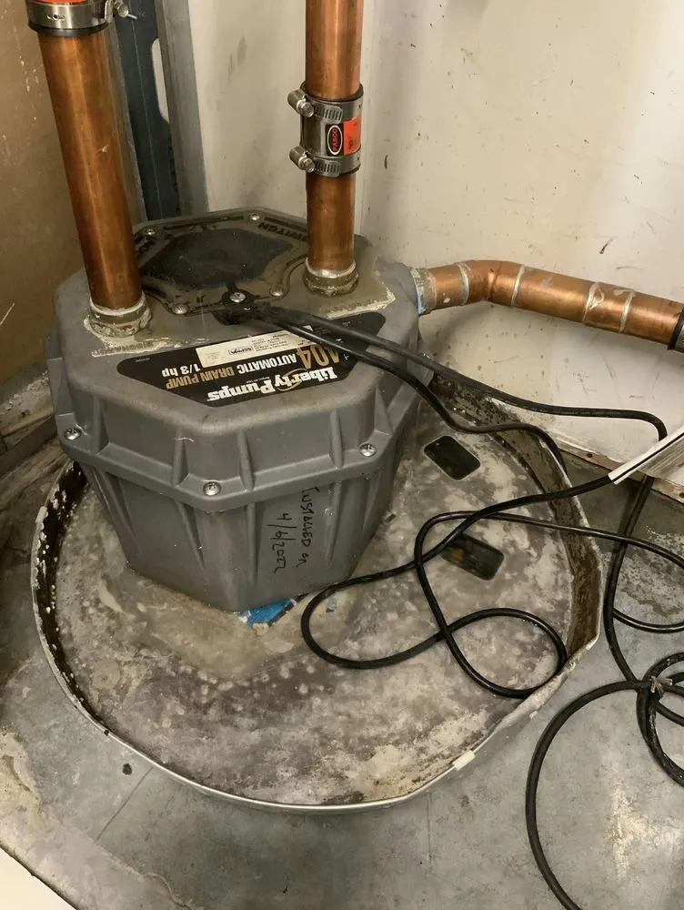 Slide of Drain Pains