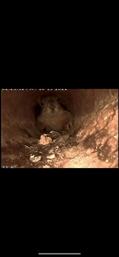 Slide of Drain Plumber Pro