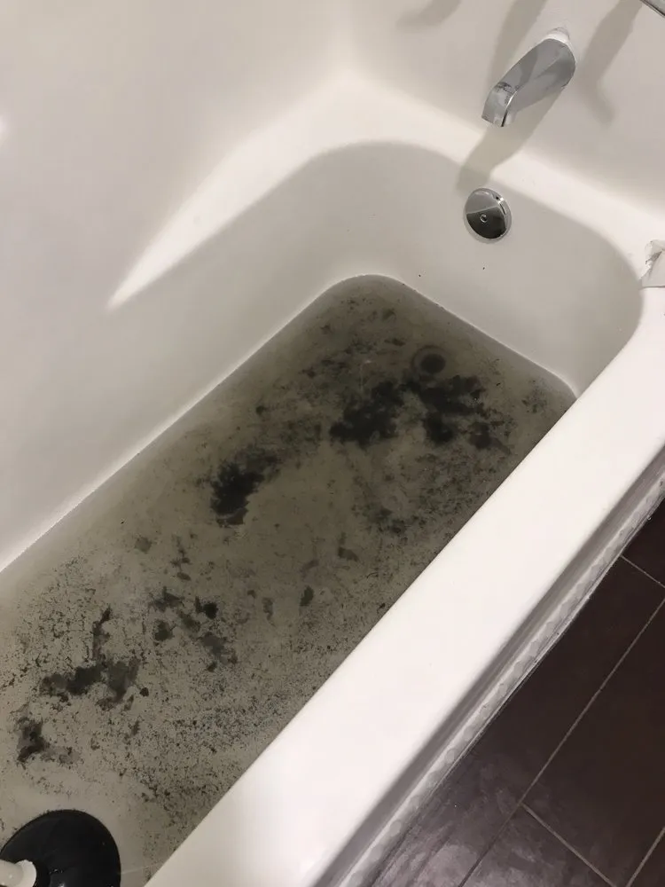 Slide of Drain Pro Rooter & Septic