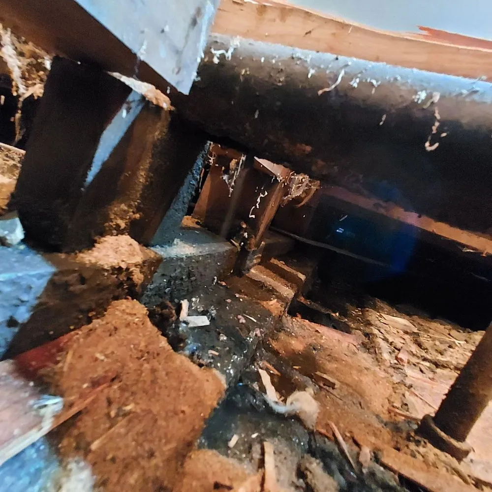 Slide of Drain Pro Rooter & Septic