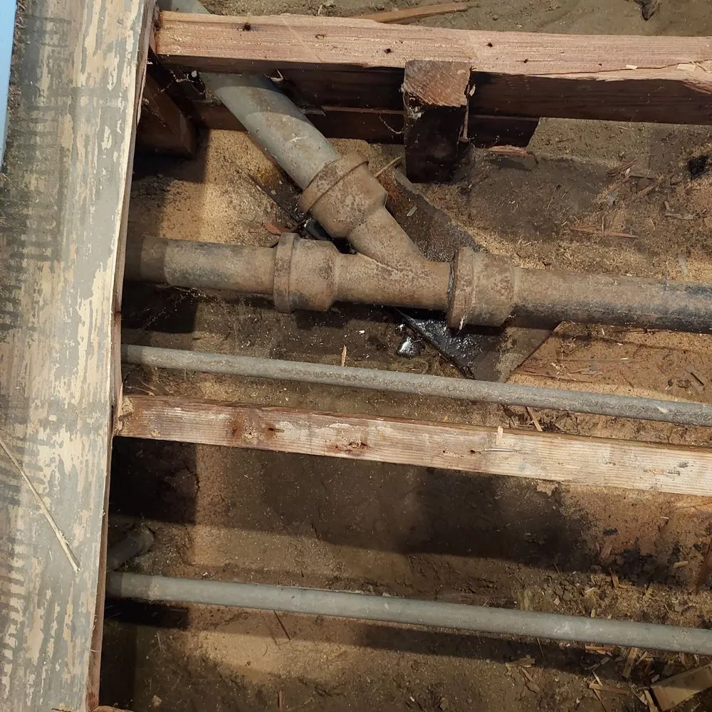 Slide of Drain Pro Rooter & Septic