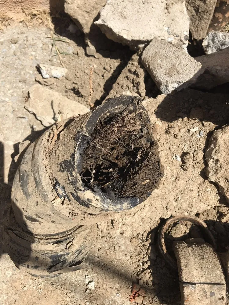 Slide of Drain Pro Rooter & Septic