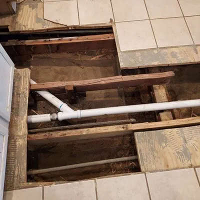 Drain Pro Rooter & Septic Logo