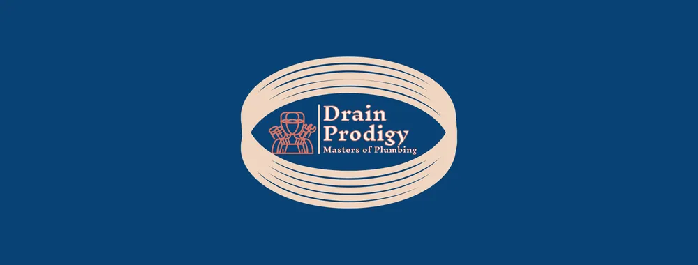 Slide of Drain Prodigy