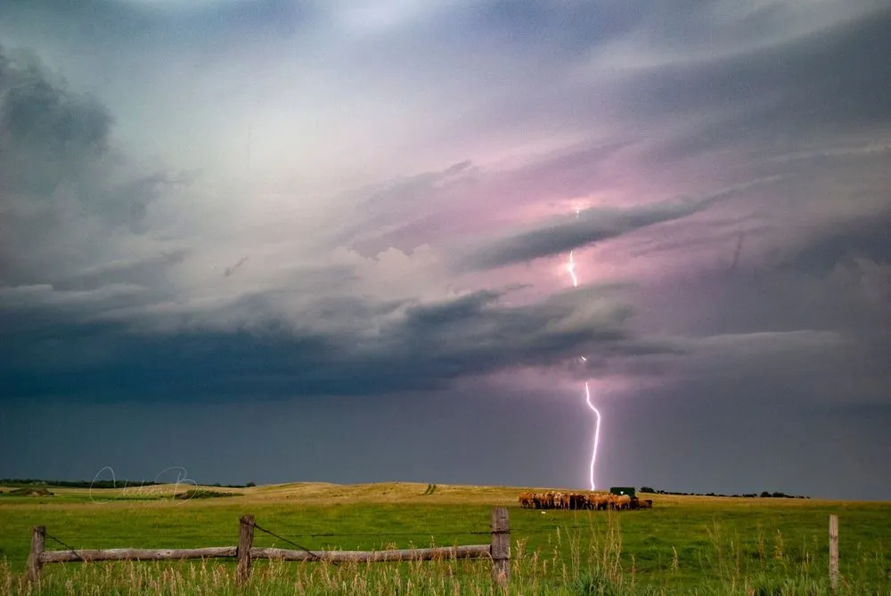 Slide of Drain Prodigy