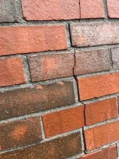 Slide of Drain Pros and Excavating