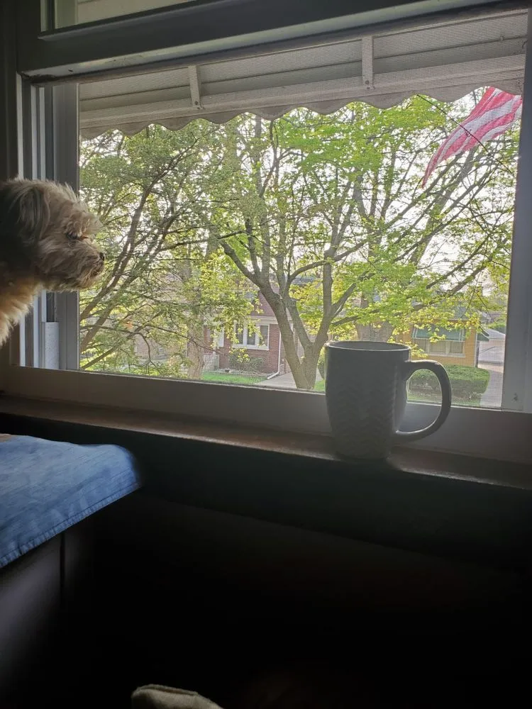 Slide of Drain Savants