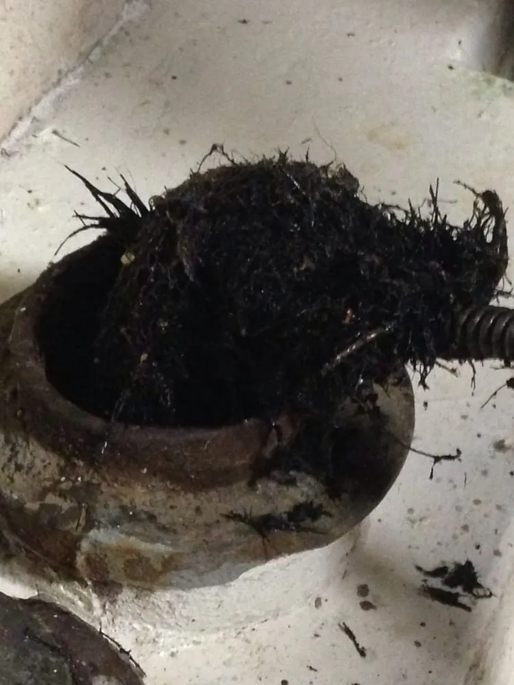 Slide of Drain Saver