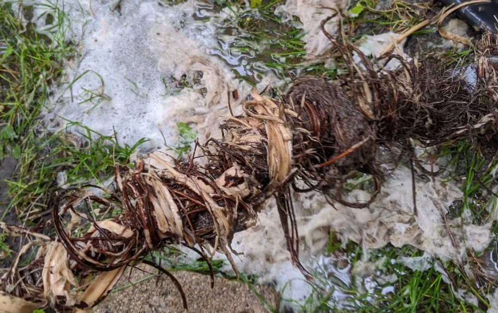 Slide of Drain Savers