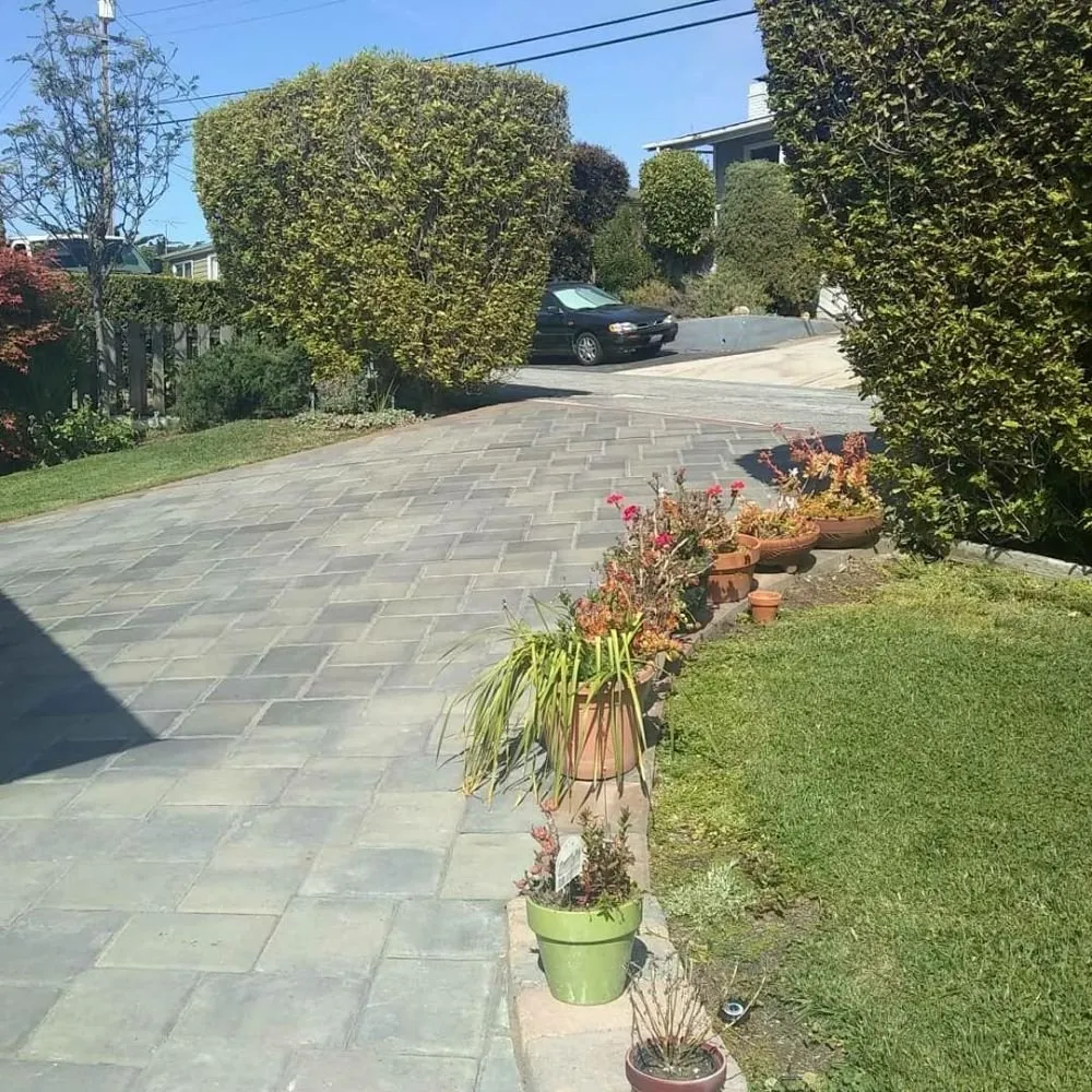 Slide of Drain Service Technician