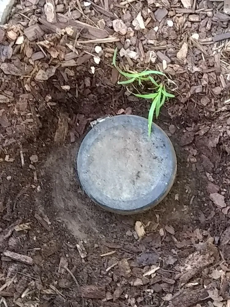 Slide of Drain Service Technician