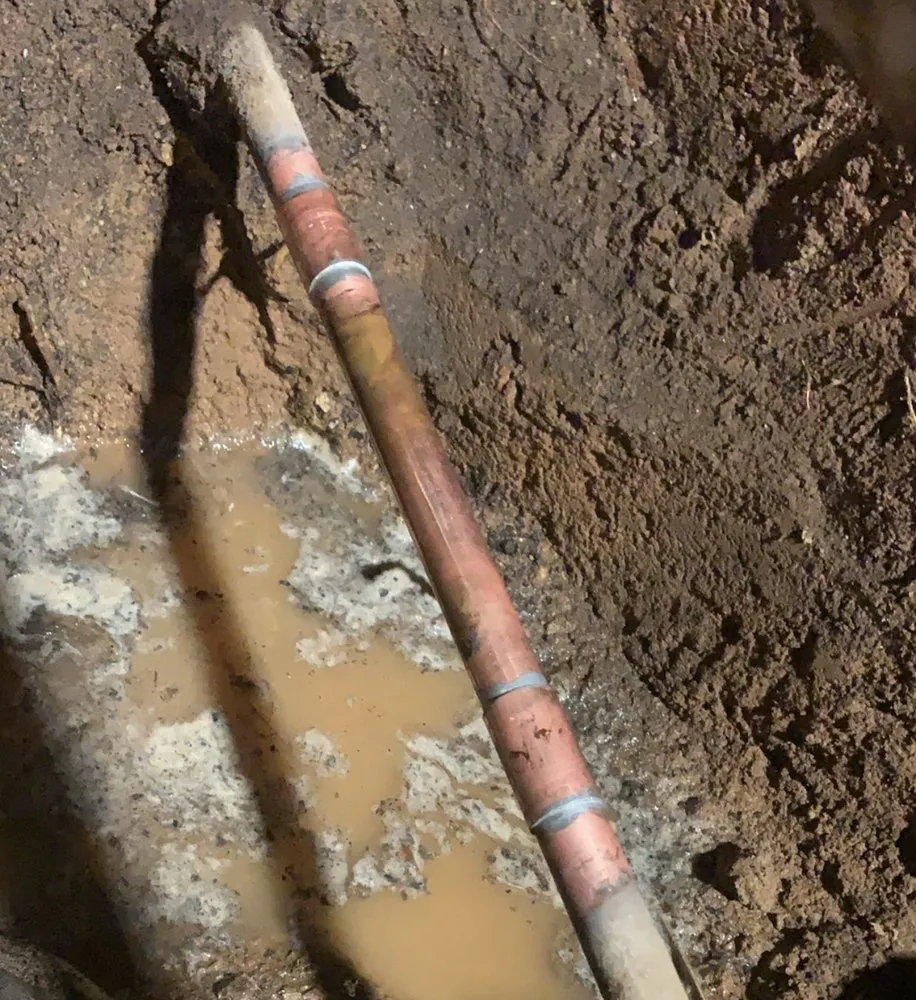 Slide of Drain Shield