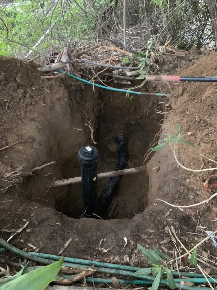 Slide of Drain Shield