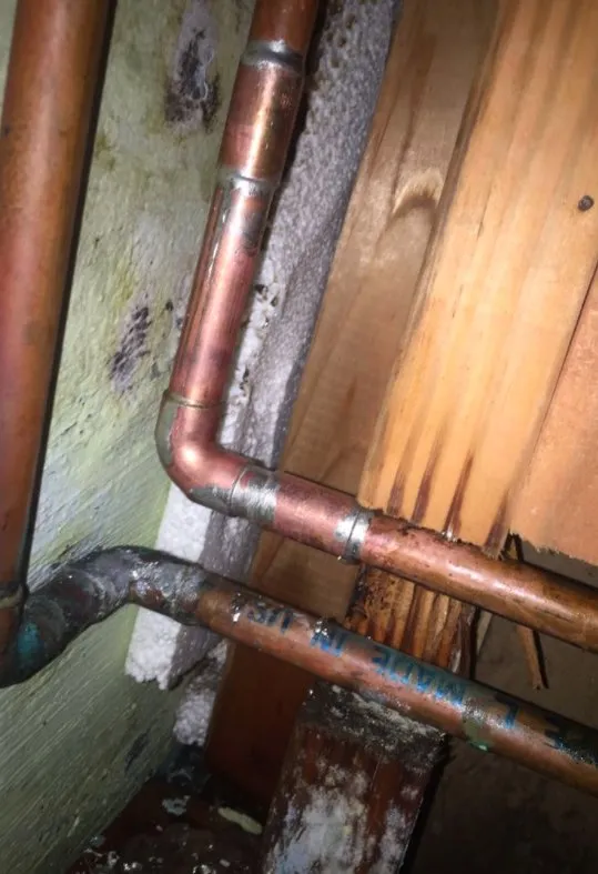 Top-rated emergency plumbing experts serving Clifton, NJ - Drain Solutions Plus