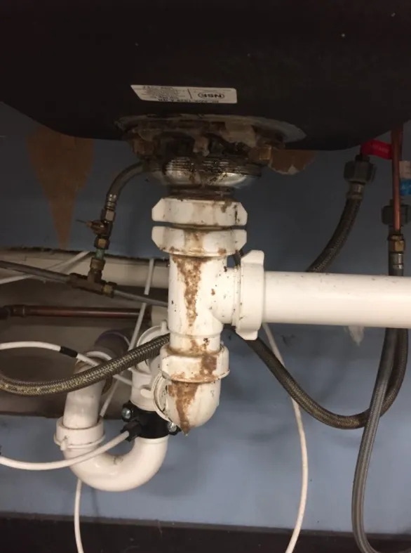 Slide of Drain Solutions Plus