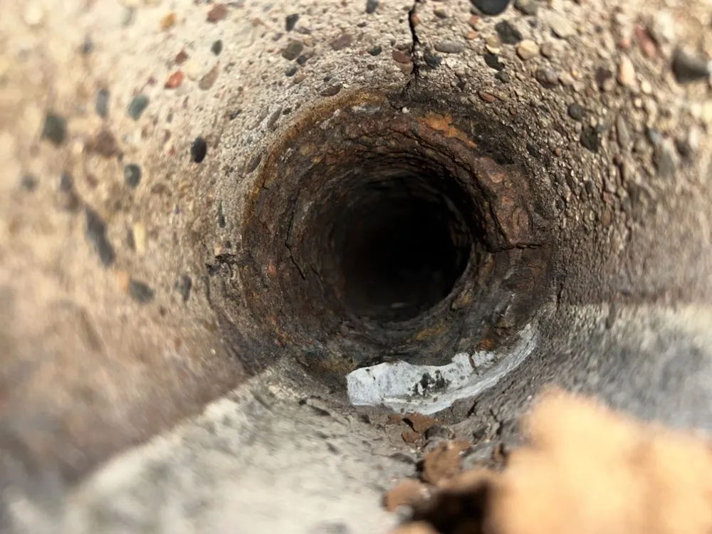 Slide of Drain Spies