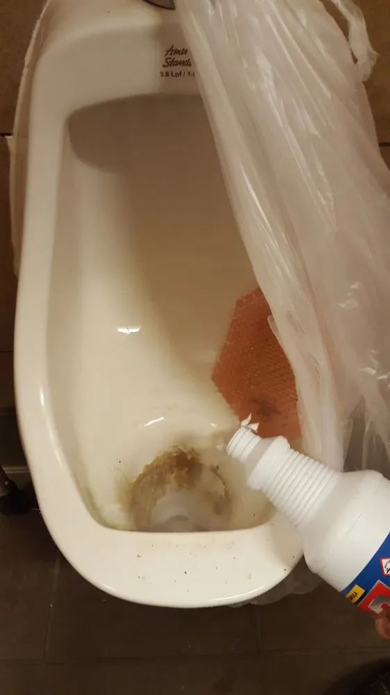 Emergency emergency plumbing service in Litchfield Park, AZ - Drain Squad