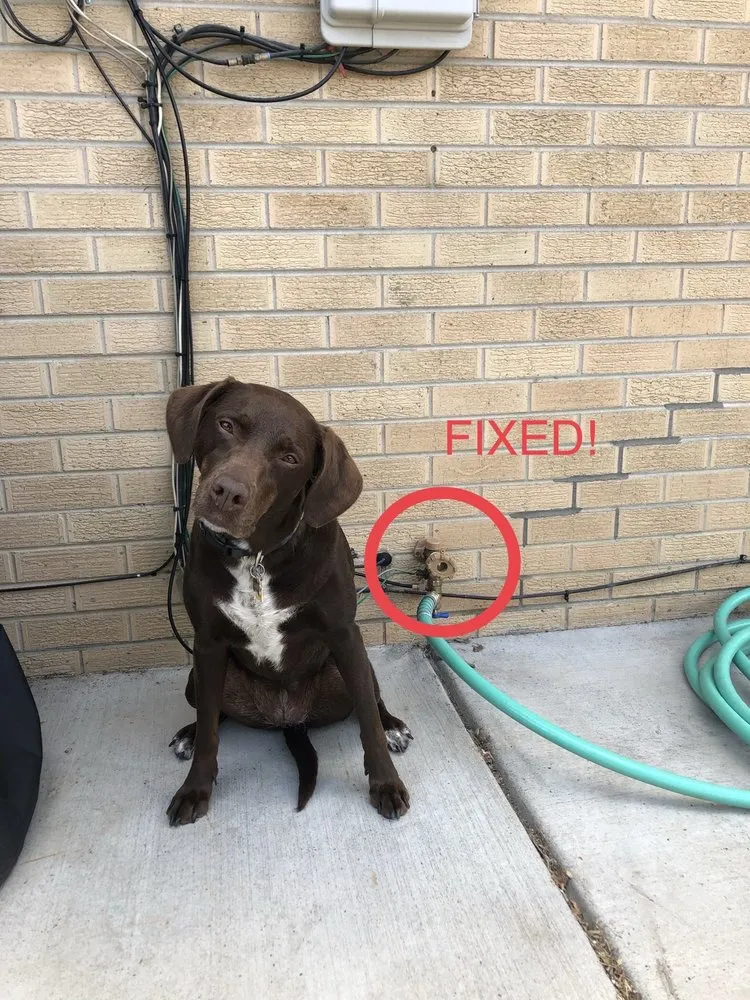 Slide of Drain Terrier