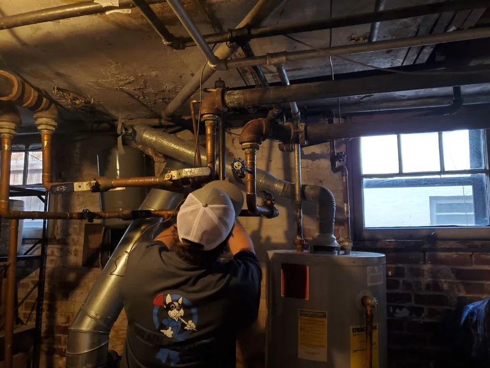 Slide of Drain Terrier