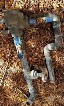 Slide of Drain Terrier