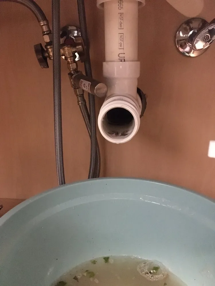 Slide of Drain Terrier