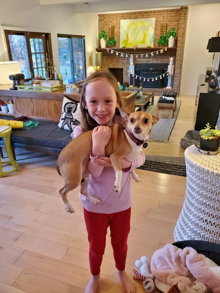 Slide of Drain Terrier