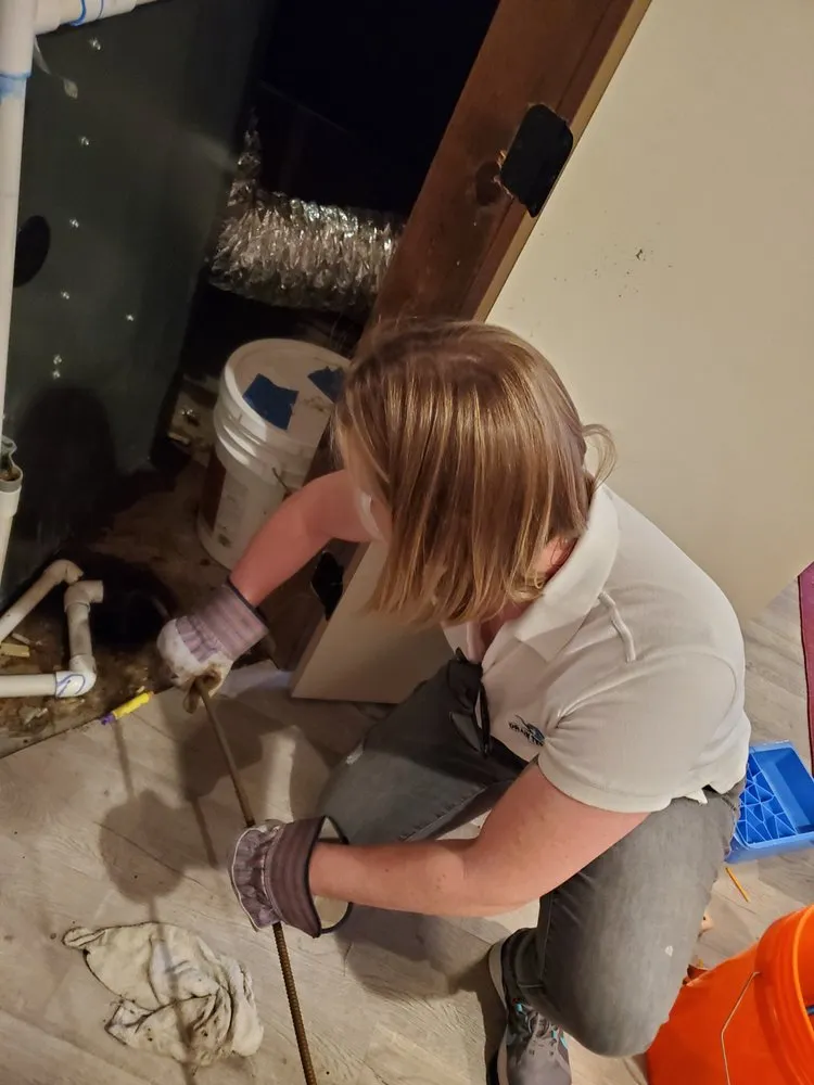 Slide of Drain Terrier