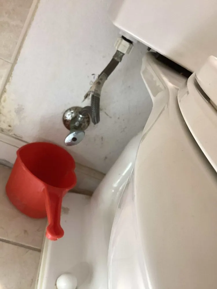 Professional plumbing repair in Jupiter, FL by Drain To Drain Plumbing Services