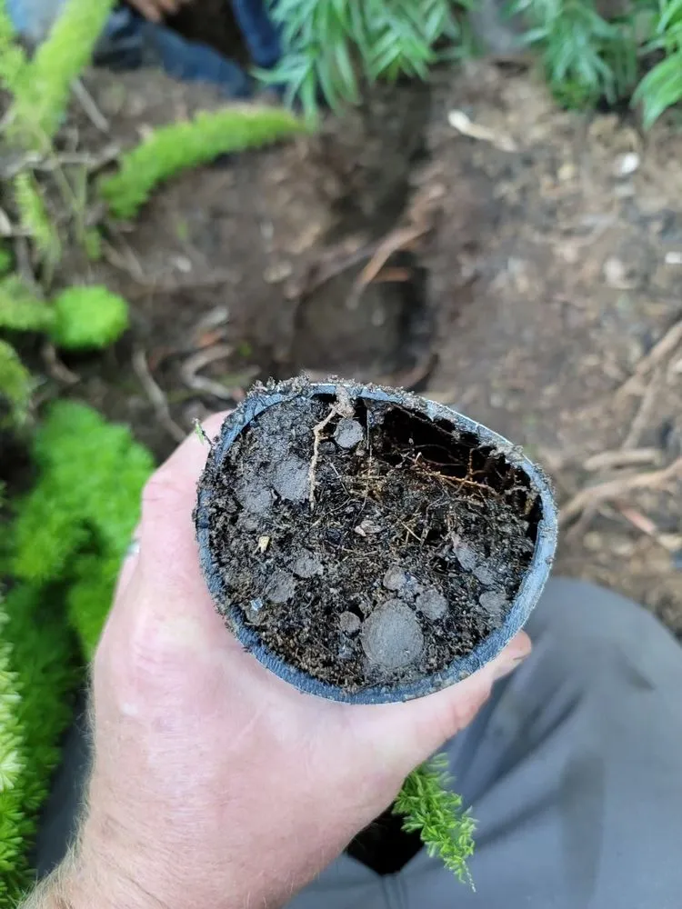 Slide of Drain Town Rooter