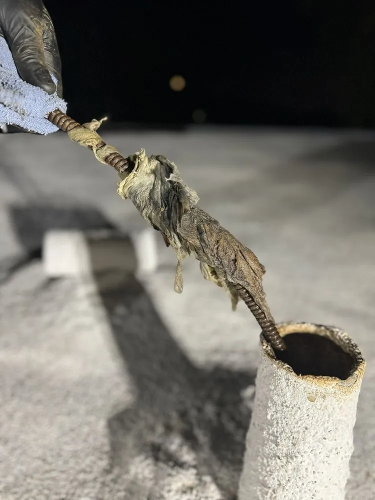 Slide of Drain Warriors