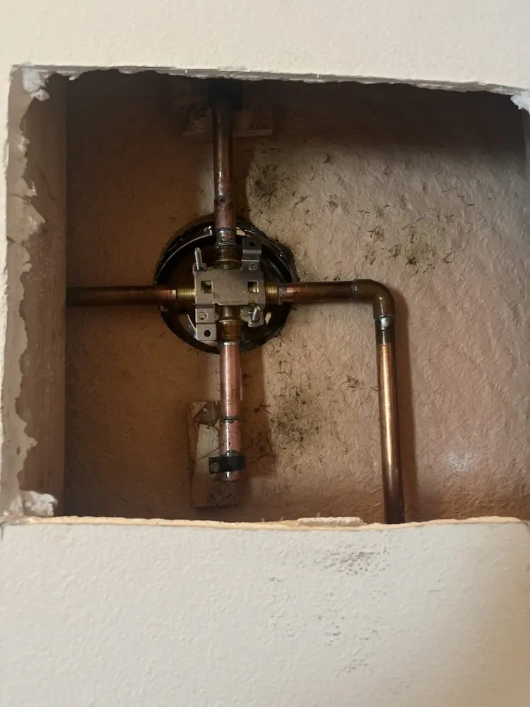 Slide of Drain Whisper