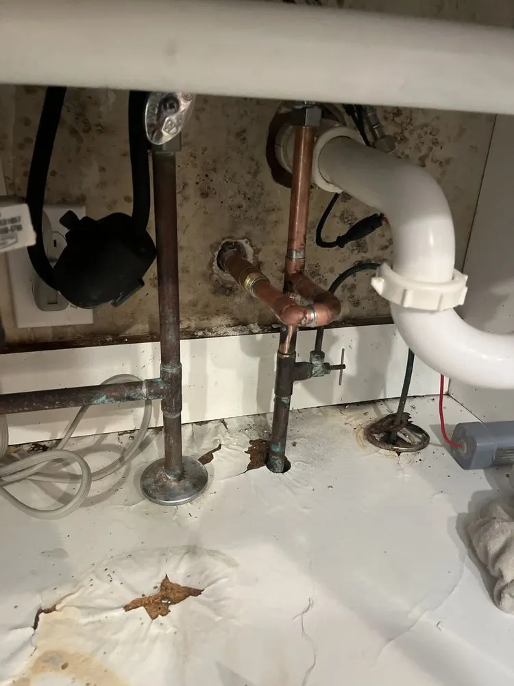 Slide of Drain Whisper