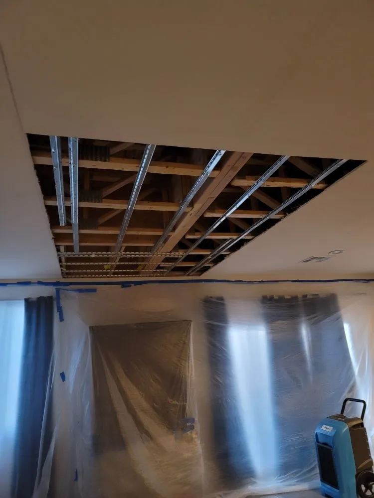 Affordable pipe repair experts serving Las Vegas, NV - Drain Wise Rooter And Mitigation