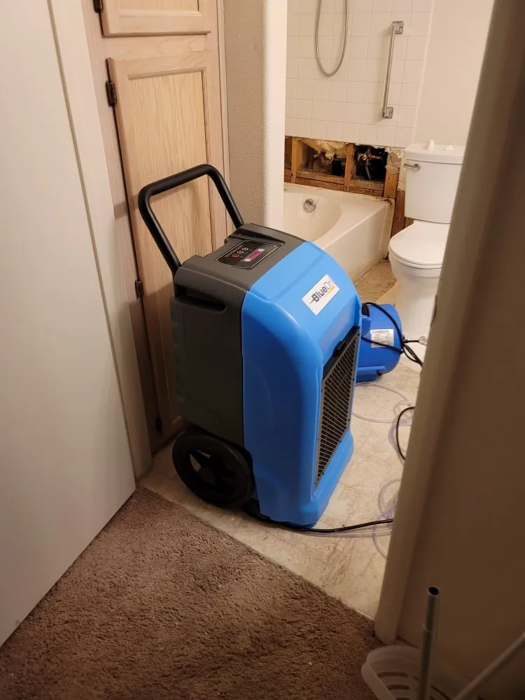 Expert plumbing repair experts serving Las Vegas, NV - Drain Wise Rooter And Mitigation