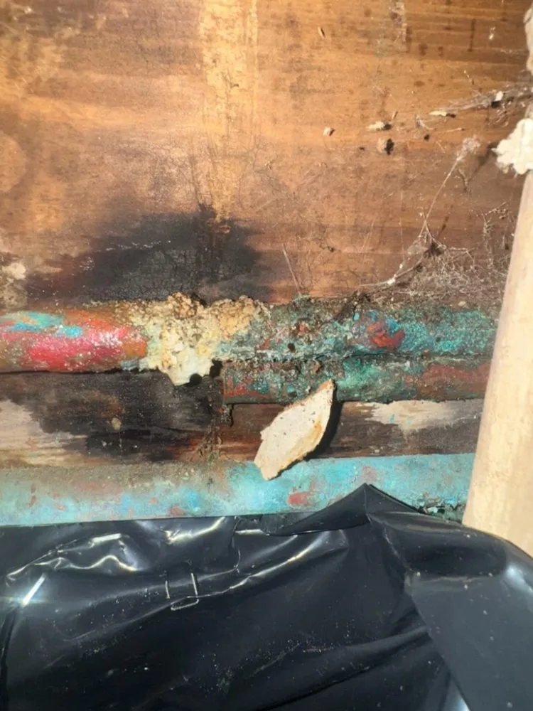 Reliable drain cleaning in Torrance, CA by Drain with Trenchless